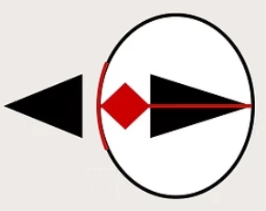 Diagram showing light entering an eye-shaped outline through a lens and converging at a focal point inside.